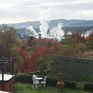 Geyser Lookout 3* 罗托鲁阿